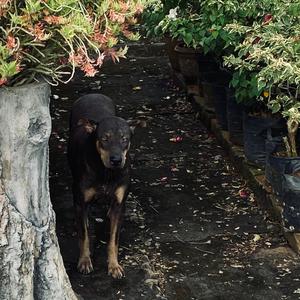 THE LICH (feat. L0XTA) (Explicit)