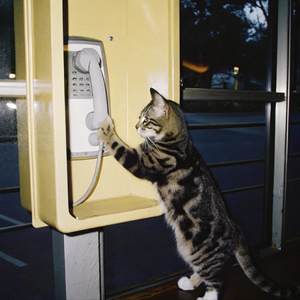 拜托别接我电话