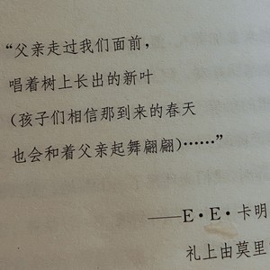 父亲写的散文诗