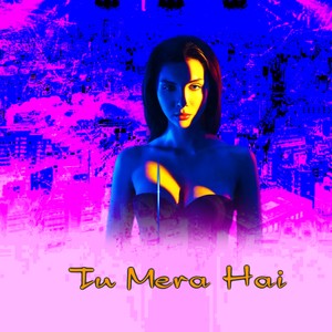 Tu Mera Hai