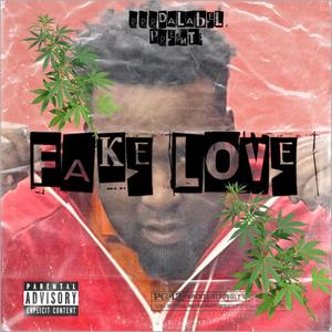 Fake love (Explicit)