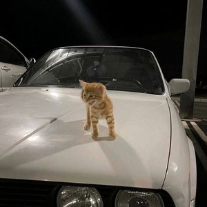 step back! (Explicit)