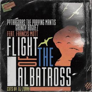 Flight Of The Albatross (feat. Francis Mott & DJ Zorro)