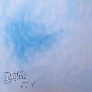 Fly
