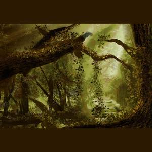 桐心森林 Live@P8 3rd