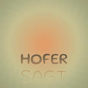 Reminiscence Recommence