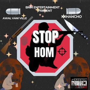 STOP HOM! (feat. AWAL VANI VILLE)