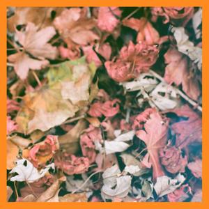 Low Tide in Bb Major