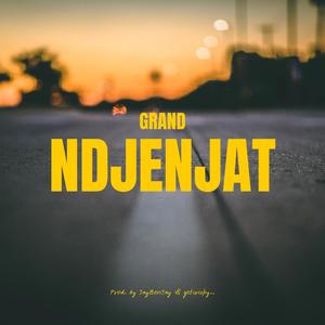 Ndjenjat