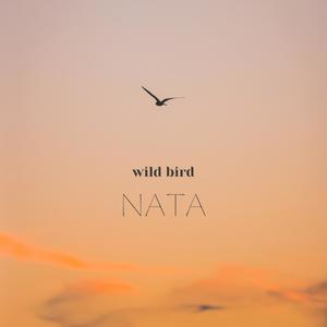 Wild Bird
