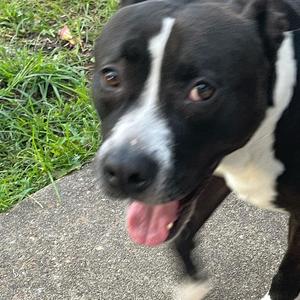 Hit Or Miss (Explicit)