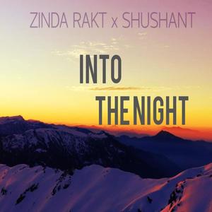 Into The Night (feat. Shushant)