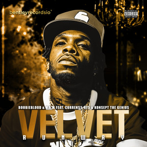 Velvet Runway (Explicit)