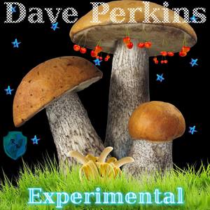 Experimental