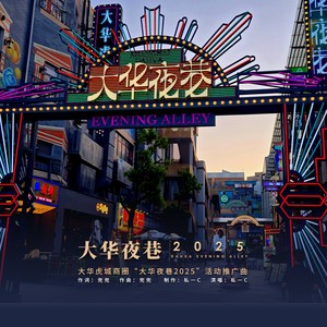 大华夜巷2025