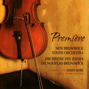 Symphony in D Minor, M. 48 - III. Allegro non troppo