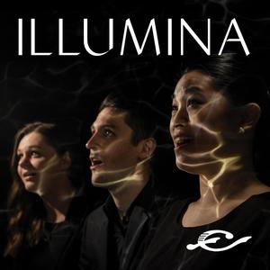 Illumina le tenebre • Live