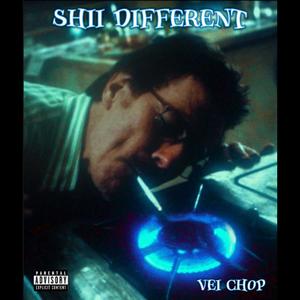 Shii Different!!! (Explicit)