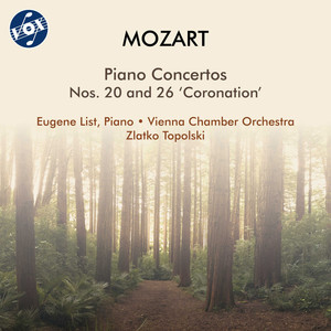 Piano Concerto No. 20 in D Minor, K. 466 - I. Allegro
