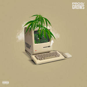 Pros & Grows (Explicit)