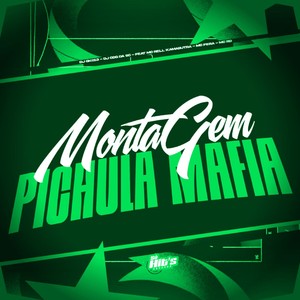 Montagem Pichula Mafia (Explicit)