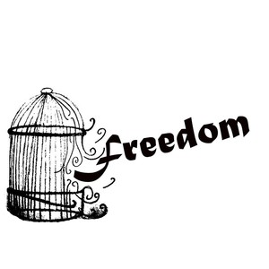 Freedom(feat. Aj & Chimzy)