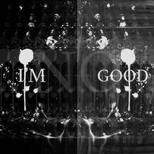 I'm NO GOOD (feat. zfrl) [Explicit]