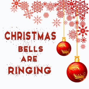 Merry Holidays