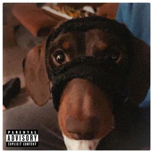 Dogg Dayz (feat. Blaywood) [Explicit]