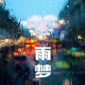 雨梦 - 王真封面