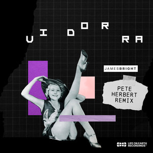 Vidorra (Pete Herbert remix)