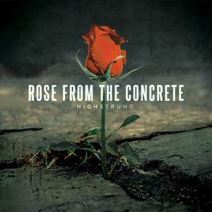 Rose from the Concrete (Explicit)