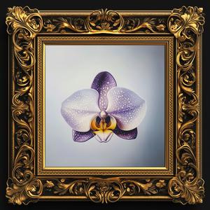 CXNTIQUE DES CXNTIQUES (Explicit)