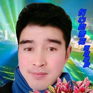 伤心的雪花
