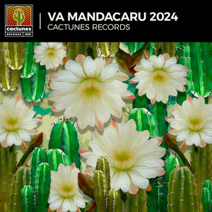 Va Mandacaru 2024