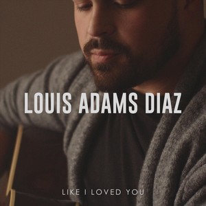Like I Loved You
