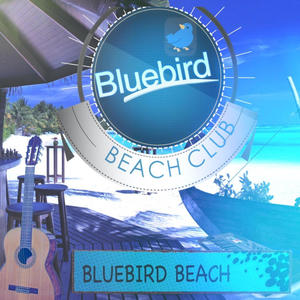 Bluebird Beach