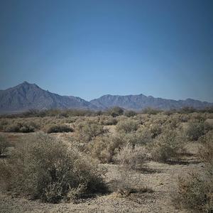 Ain't A Rich Man (Demo)