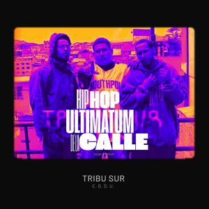 Hip Hop de la calle (feat. Mic. Ronny & Gnio 31) (Explicit)