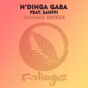Summer Breeze (N'Dinga Gaba & Atjazz Concept Mix)