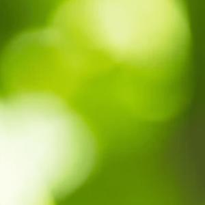 missed me (Explicit)