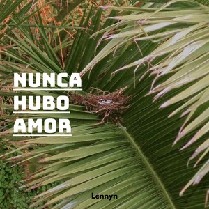 Nunca hubo amor