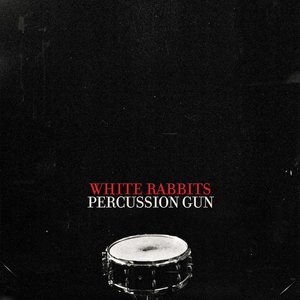 Percussion Gun