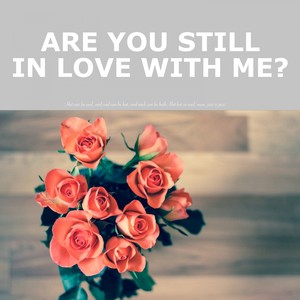 Are You Still in Love With Me