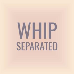 Whip Separated