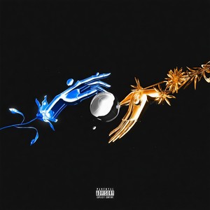 Loop (Explicit)