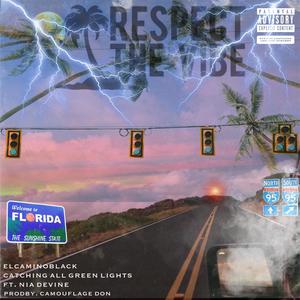 Catching All Green Lights(feat. Nia Devine) (Explicit)