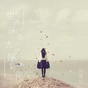 世界这么大还是遇见你 (原版)