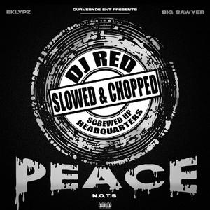 Peace (Slowed & Chopped) (Explicit)