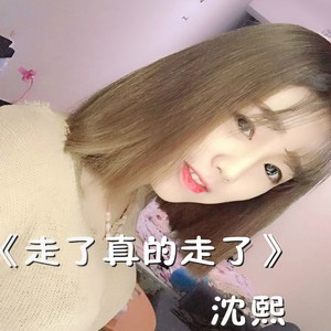 走了真的走了